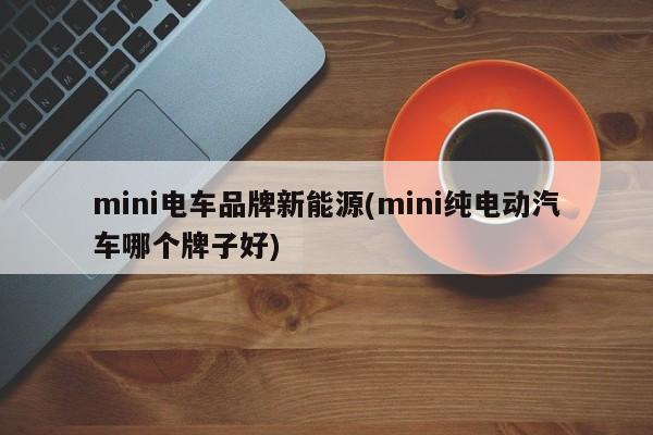 mini电车品牌新能源(mini纯电动汽车哪个牌子好)
