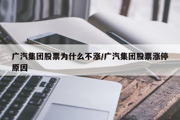 广汽集团股票为什么不涨/广汽集团股票涨停原因